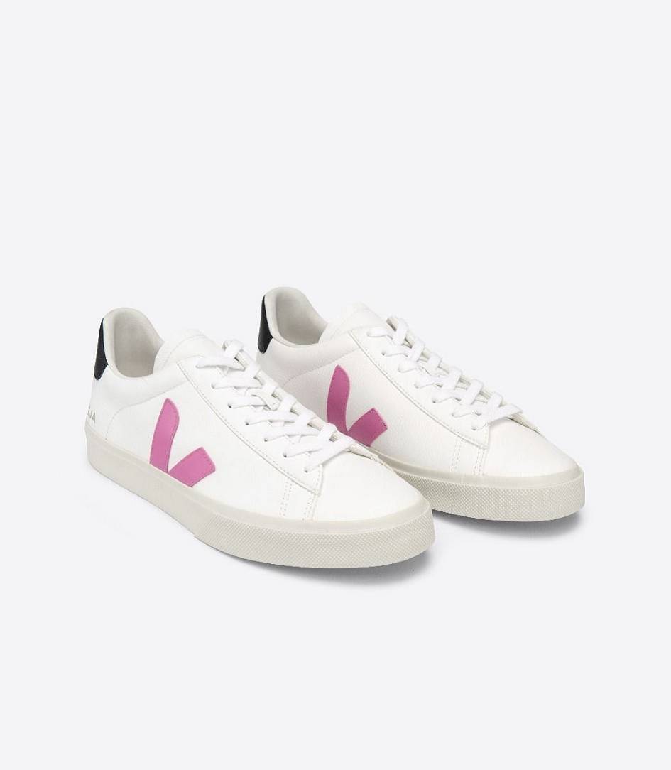 Veja Campo Chromefree Women's Sneakers White Ultraviolet Black | PVS309758