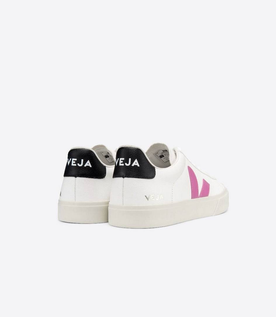 Veja Campo Chromefree Women's Sneakers White Ultraviolet Black | PVS309758