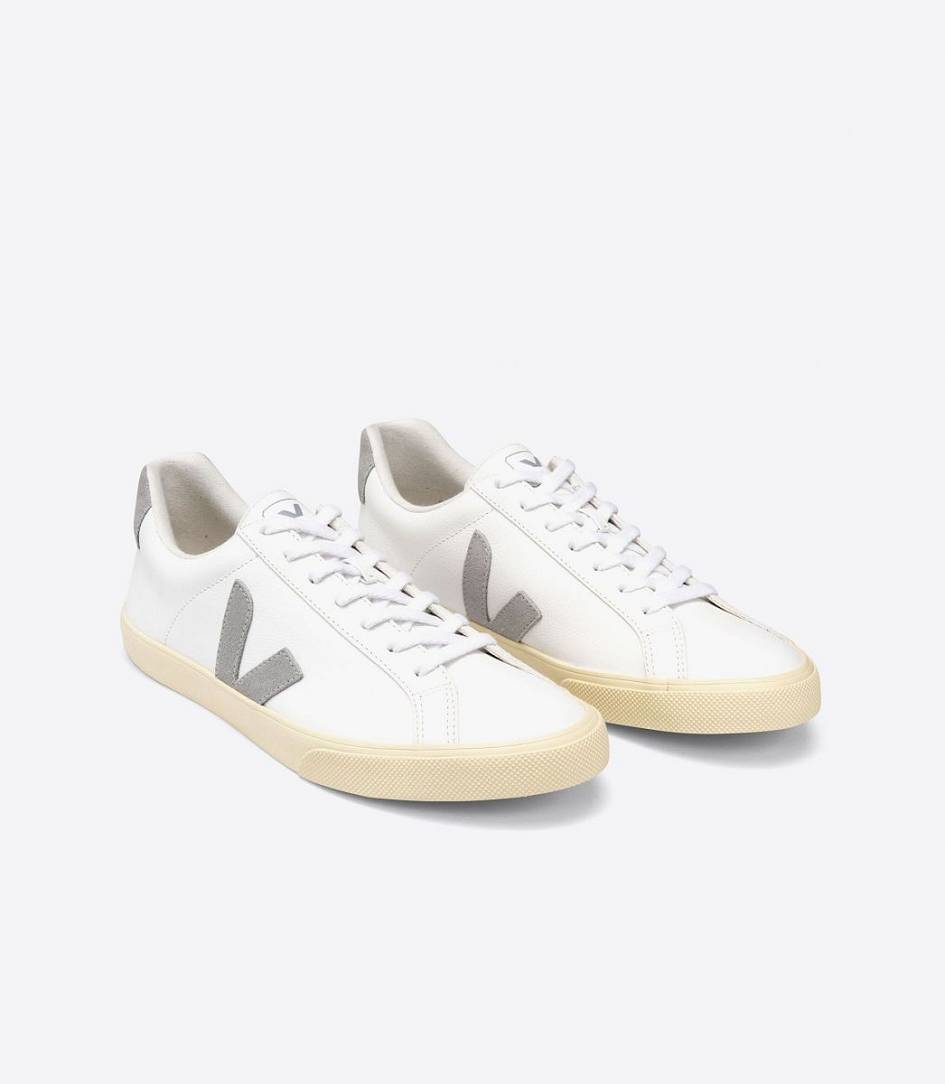 Veja Esplar Chromefree Men's Sneakers White Oxford-Grey | URO264571