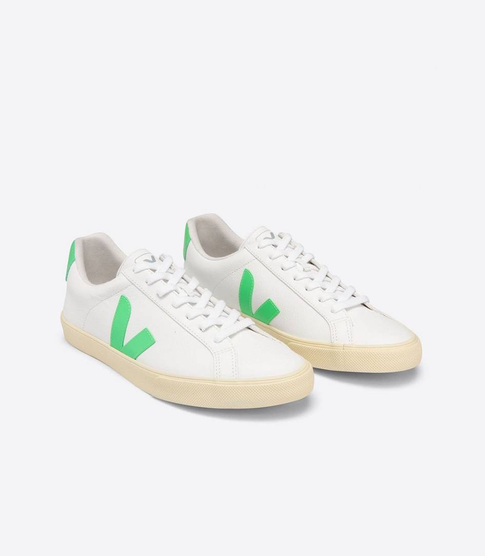 Veja Esplar Chromefree Women's Trainers White Absinthe Butter-Sole | BIR760419