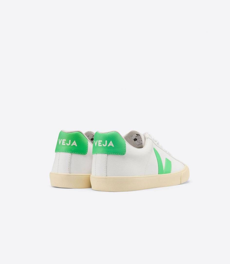 Veja Esplar Chromefree Women's Trainers White Absinthe Butter-Sole | BIR760419