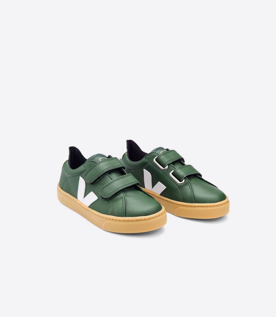 Veja Esplar Leather Kids' Trainers Cyprus White | CBP831720