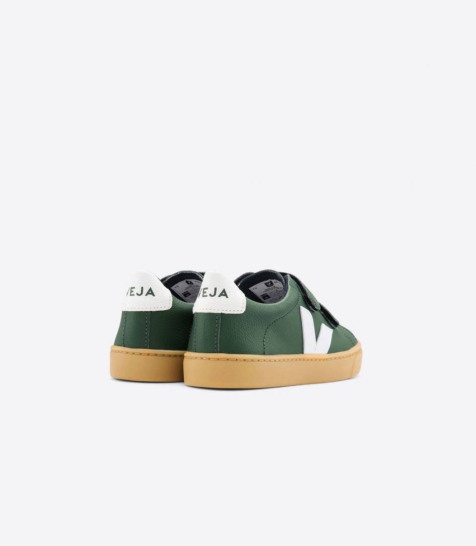 Veja Esplar Leather Kids' Trainers Cyprus White | CBP831720