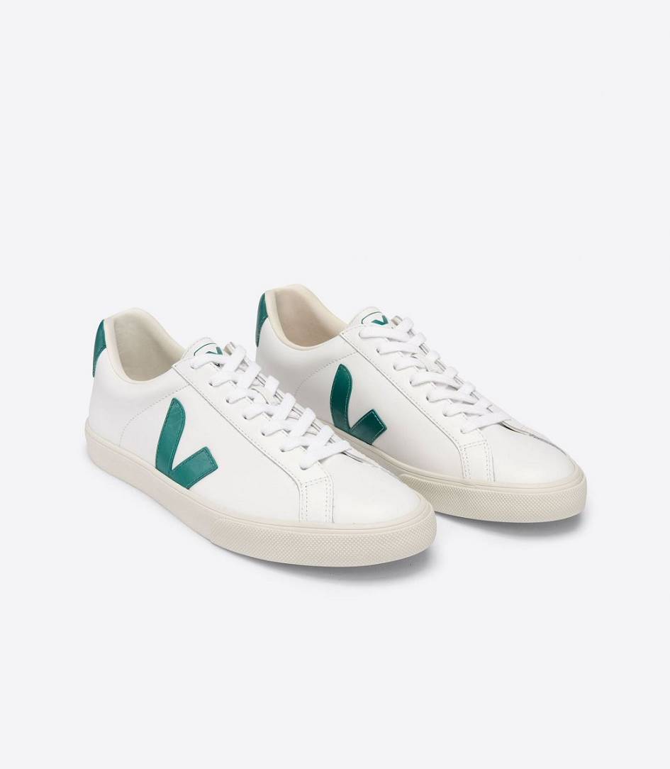 Veja Esplar Leather Men's Sneakers White Brittany | QDY257869