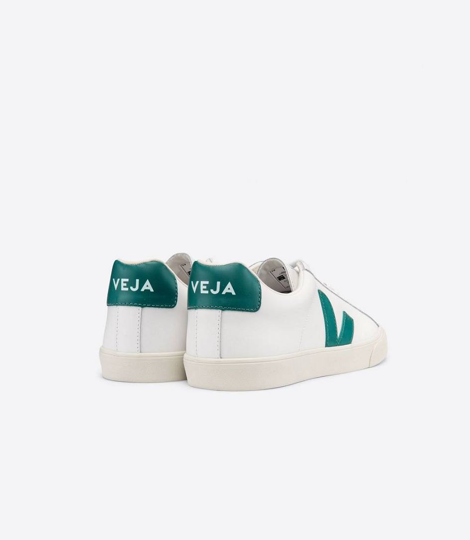 Veja Esplar Leather Men's Sneakers White Brittany | QDY257869