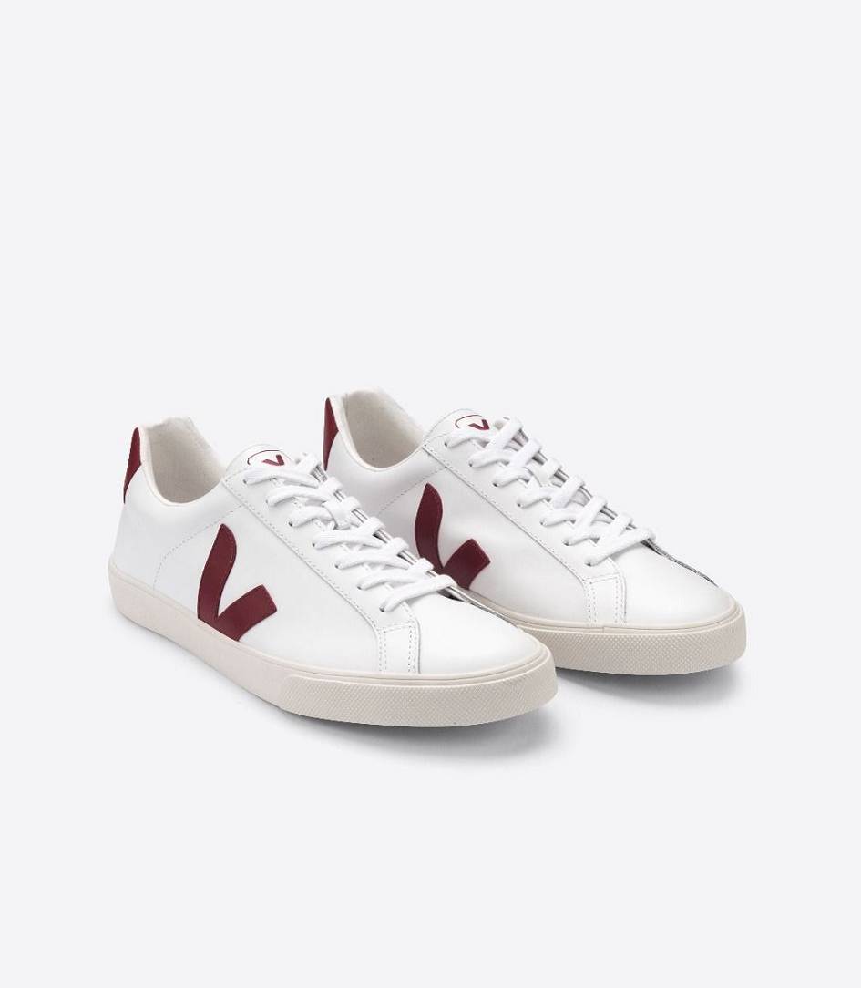 Veja Esplar Leather Men's Trainers White Marsala | SGB670215