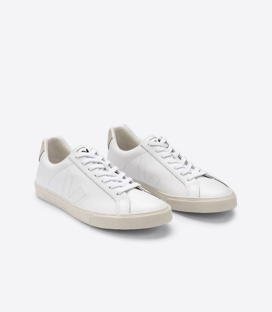 Veja Esplar Leather Men's Trainers White | VLS658274