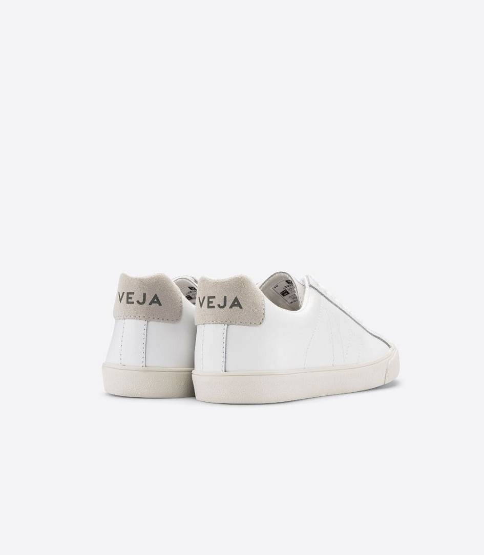 Veja Esplar Leather Men's Trainers White | VLS658274