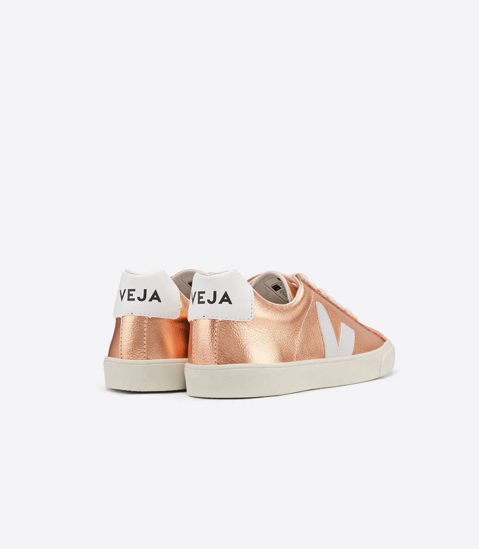 Veja Esplar Leather Women's Sneakers Venus White | POT145630