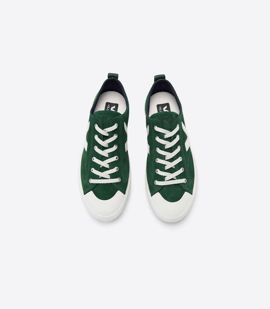 Veja Nova Suede Women's Sneakers Cyprus Pierre | MNX750832