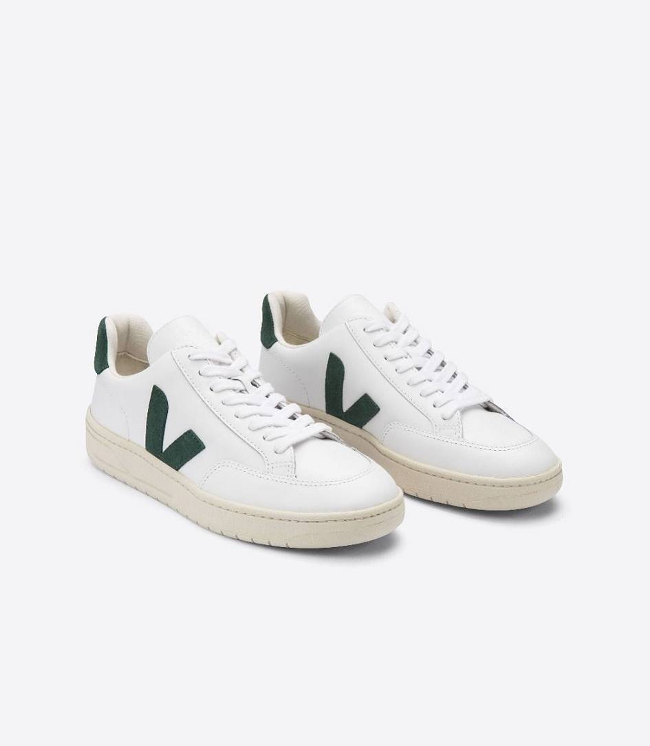 Veja V-12 Leather Men's Trainers White Cyprus | BNO170328